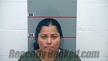 Recent Mugshot Image for JUDITH GOMEZ in Grayson County, Kentucky