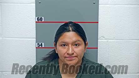 Recent Mugshot Image for TANIA CURIPOMA PINTADO in Grayson County, Kentucky