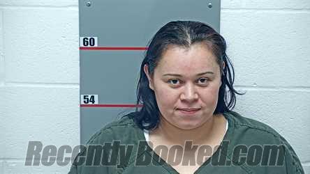 Recent Mugshot Image for YOLANDA RODRIGUEZ PORTILLO in Grayson County, Kentucky