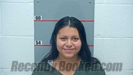 Recent Mugshot Image for SILVIA DIAZ-SANCHEZ in Grayson County, Kentucky