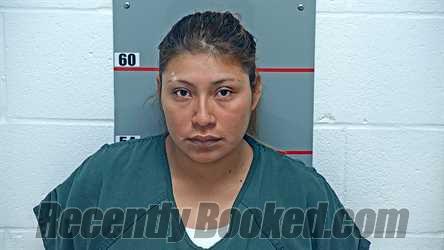 Recent Mugshot Image for KARLA GEORGINA AGUILAR GARCIA in Grayson County, Kentucky