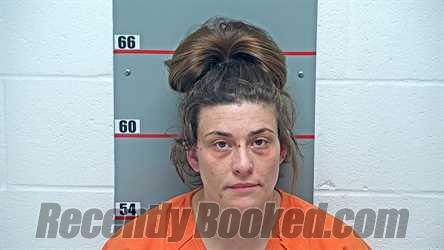 Recent Mugshot Image for JESSICA ANNE HADLEY in Grayson County, Kentucky