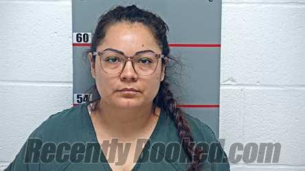Recent Mugshot Image for NALLELY MARTINEZ LARA in Grayson County, Kentucky