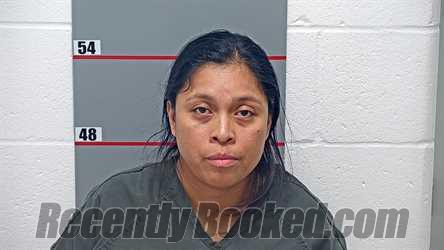 Recent Mugshot Image for ISAURA VELASQUEZ LOPEZ in Grayson County, Kentucky
