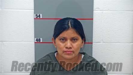 Recent Mugshot Image for CATARINA MORALES VI DE DIEGO in Grayson County, Kentucky