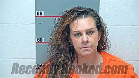 Recent Mugshot Image for AMANDA R BURDEN in Grayson County, Kentucky