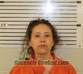 Recent Mugshot Image for DEVIN STORM WAGNER in Madison County, North Carolina