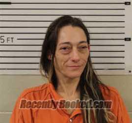 Recent Mugshot Image for JESSICA ELIZABETH MANSFIELD in Madison County, North Carolina