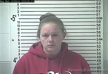 Recent Mugshot Image for AMBER DAWN BROTHERS in Hardin County, Kentucky