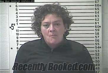 Recent Mugshot Image for ALEXA KAY CRINER in Hardin County, Kentucky