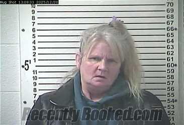 Recent Mugshot Image for ARDETH MALISSA FIELDS in Hardin County, Kentucky