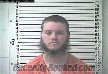 Recent Mugshot Image for BRANDON WILLIAM BRUCE in Hardin County, Kentucky