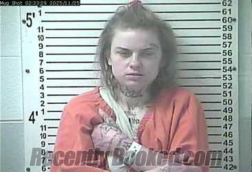 Recent Mugshot Image for BRIANNA NICOLE PETTY in Hardin County, Kentucky