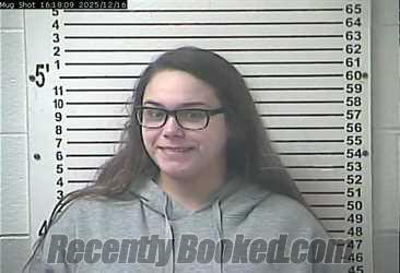 Recent Mugshot Image for COURTNEY ERIN DAVIS in Hardin County, Kentucky
