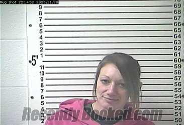 Recent Mugshot Image for CANDI ROCHELLE MCKINNEY in Hardin County, Kentucky