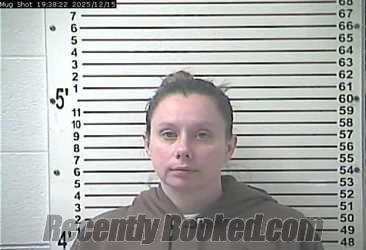 Recent Mugshot Image for DANIELLE CAYELEE DAVIS in Hardin County, Kentucky