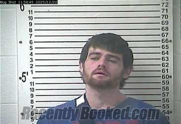 Recent Mugshot Image for FRANKIE WAYNE VERTREES in Hardin County, Kentucky