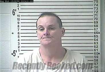 Recent Mugshot Image for JESSIE LOARINE BICKERS in Hardin County, Kentucky