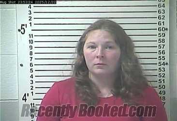 Recent Mugshot Image for KATHERINE ELIZABETH CONLIN in Hardin County, Kentucky
