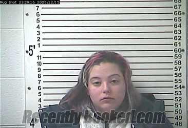 Recent Mugshot Image for KATLYNN MARYSSA SEGEBART in Hardin County, Kentucky