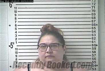 Recent Mugshot Image for PATRICIA ANN YOUNG in Hardin County, Kentucky