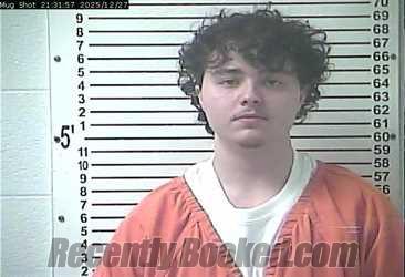 Recent Mugshot Image for SAMMY RAINA KATELYN PERKINS in Hardin County, Kentucky