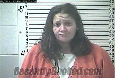 Recent Mugshot Image for VIOLET VANESSA WARREN in Hardin County, Kentucky