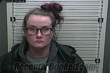 Recent Mugshot Image for ANTIONETTE MICHELLE BOGGS in Harlan County, Kentucky