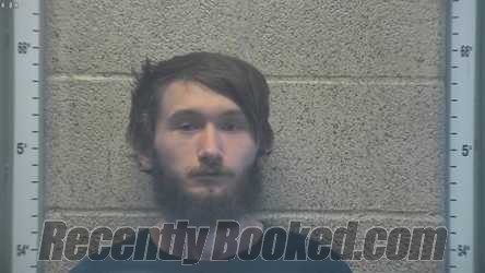 Recent Mugshot Image for CAMERON RYAN SIGLER in Henderson County, Kentucky