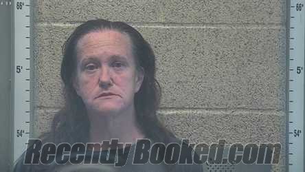 Recent Mugshot Image for MISTY DAWN PAULIN in Henderson County, Kentucky