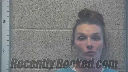 Recent Mugshot Image for BRITTANY LASHELL RIGDON in Henderson County, Kentucky