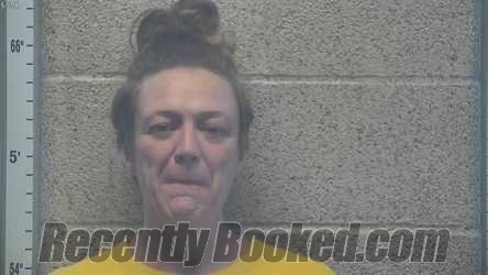 Recent Mugshot Image for DANA MICHELLE MYERS in Henderson County, Kentucky