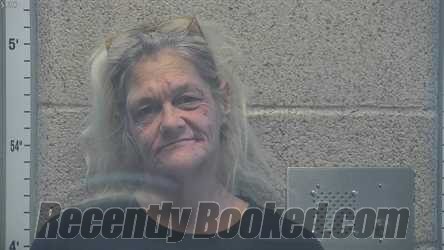 Recent Mugshot Image for AMY LYNN NASBITT in Henderson County, Kentucky