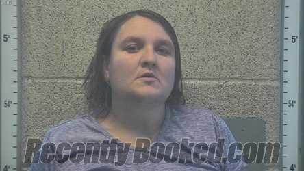 Recent Mugshot Image for NICHOLE IRENE WHETSTONE in Henderson County, Kentucky