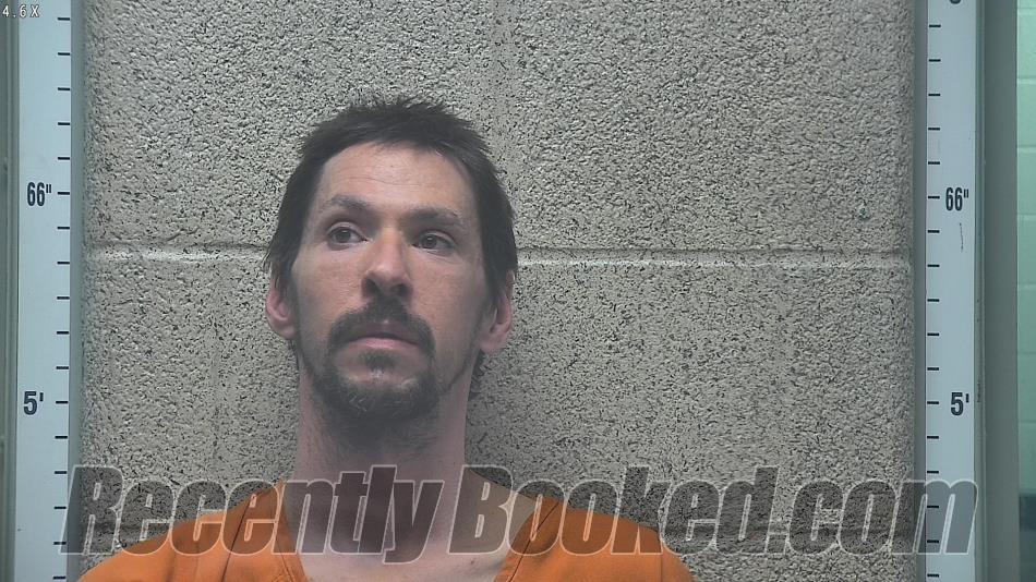 Recent Mugshot Image for DAVID HELVEY in Henderson County, Kentucky