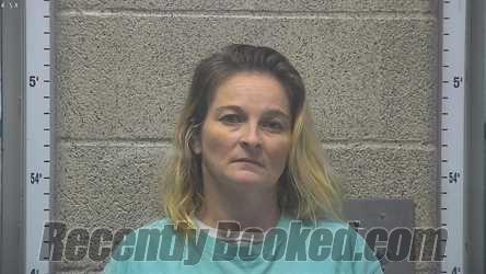 Recent Mugshot Image for KELLY CRAYTON in Henderson County, Kentucky