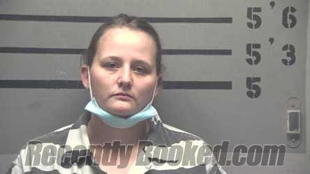 Recent Mugshot Image for ASHLEY DAWN DRUGASH in Hopkins County, Kentucky