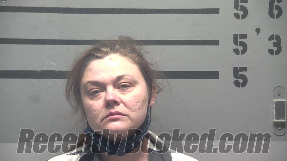 Recent Booking / Mugshot for ASHLEY LYNN EMERY in Hopkins County, Kentucky