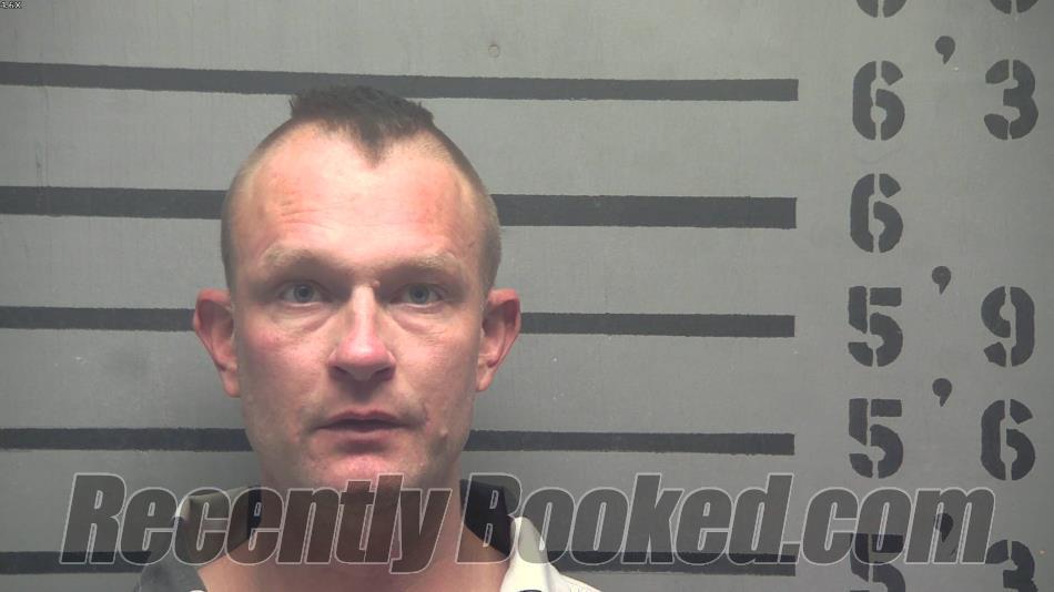 Recent Mugshot Image for BAILEY JOSEPH BRASHER in Hopkins County, Kentucky