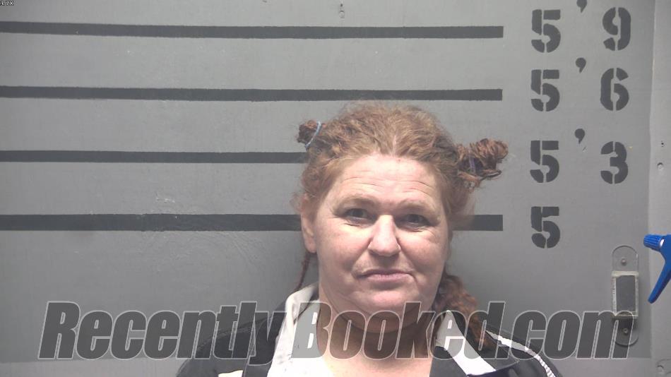 Recent Booking / Mugshot for BRANDY MICHELLE JONES in Hopkins County