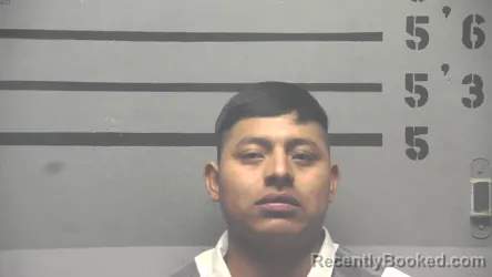 Recent Mugshot Image for GENARO DOMINGO-LOPEZ in Hopkins County, Kentucky