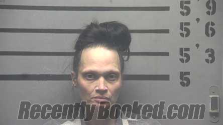 Recent Mugshot Image for TINA ANN EDWARDS in Hopkins County, Kentucky