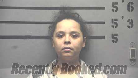 Recent Mugshot Image for NICOLE REED HOPPER in Hopkins County, Kentucky