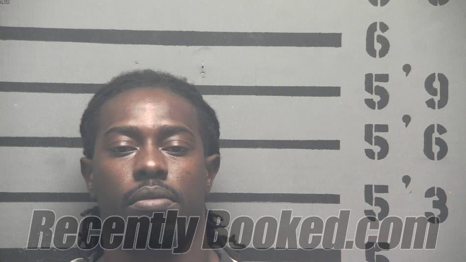 Recent Mugshot Image for TYSON ANTONIO HAMILTON in Hopkins County, Kentucky