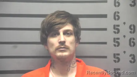 Recent Mugshot Image for JAMES LEE TRUITT in Hopkins County, Kentucky