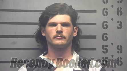 Recent Mugshot Image for BLAYDE MICHAEL WEAVER in Hopkins County, Kentucky