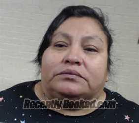 Recent Mugshot Image for RUTH NOEMI MENDEZ in Martin County, North Carolina