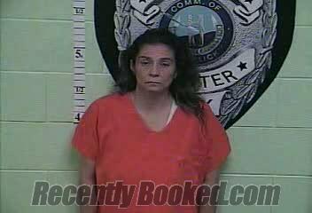 Recent Mugshot Image for AMY MICHELLE BINGHAM in Jackson County, Kentucky