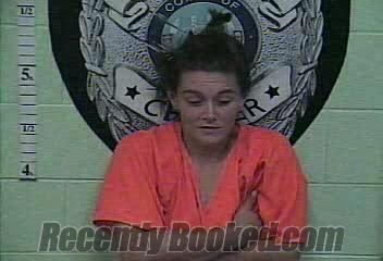Recent Mugshot Image for SEBRINA KAYE BERRY in Jackson County, Kentucky