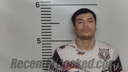 Recent Mugshot Image for ALI HILFI in Jefferson County, Kentucky